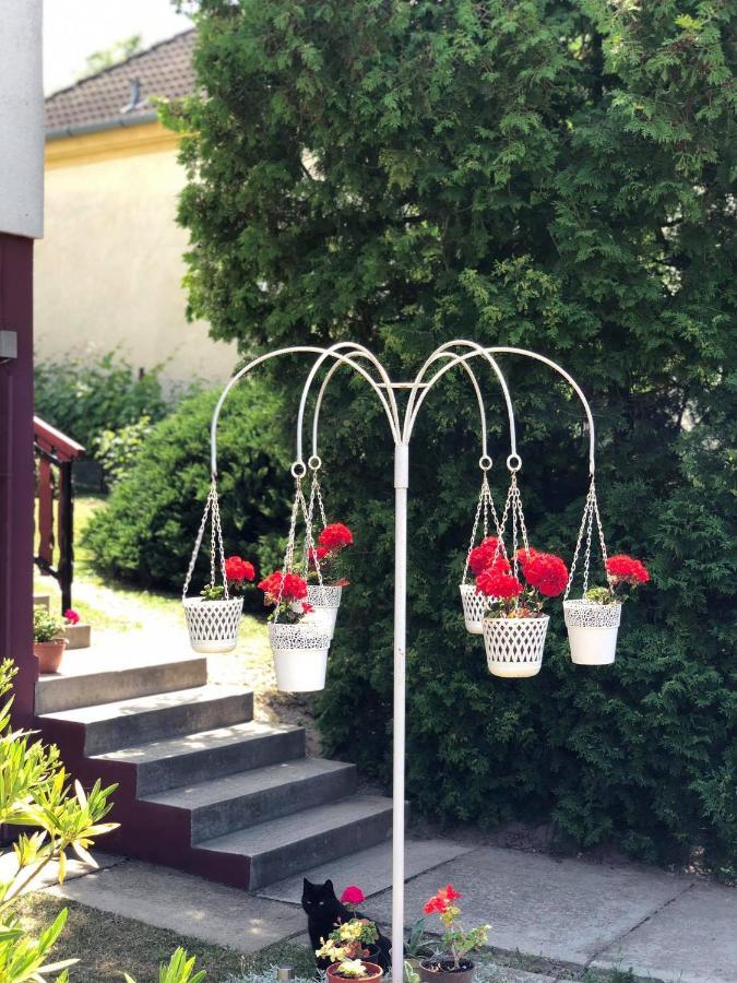 Major Csalad Apartman Heviz Bagian luar foto