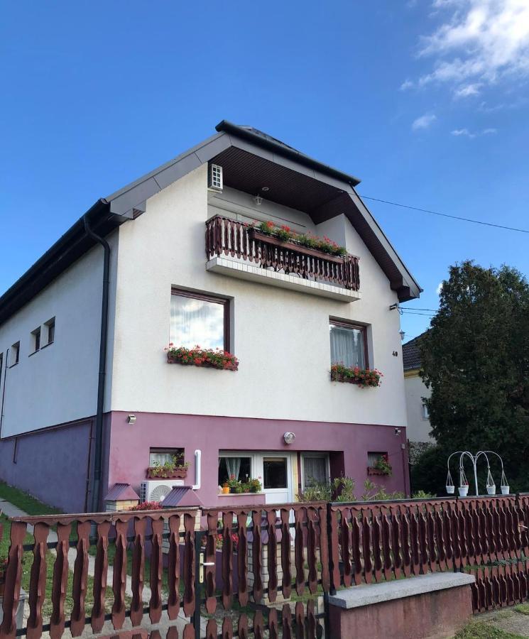Major Csalad Apartman Heviz Bagian luar foto